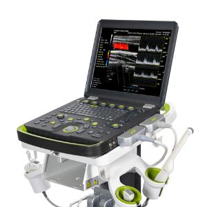 Система ультразвуковая диагностическая ЕЛС500Т(CS)